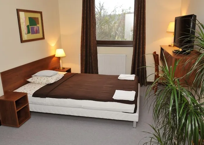 Hotel Spojnia